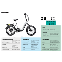 KEMOWAY - Z3 - 720Wh / 55Nm