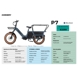 KEMOWAY - LONGTAIL P7 - 720Wh / 110Nm